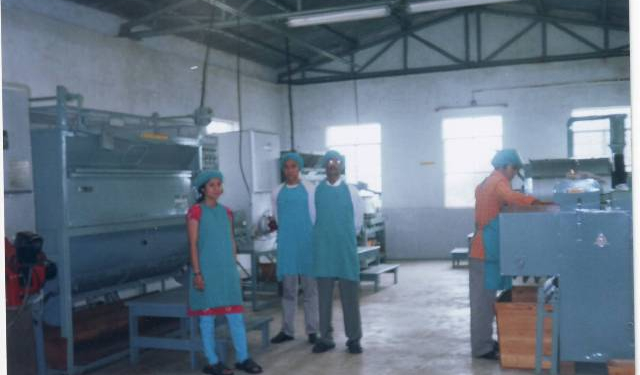 green tea 29 Aug 2007 Audit process