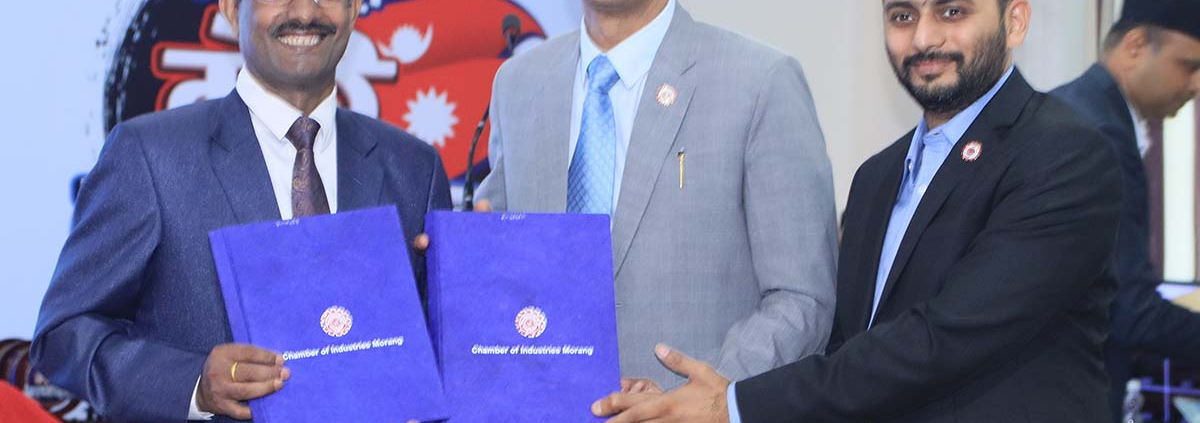 Q-HSEF quality system